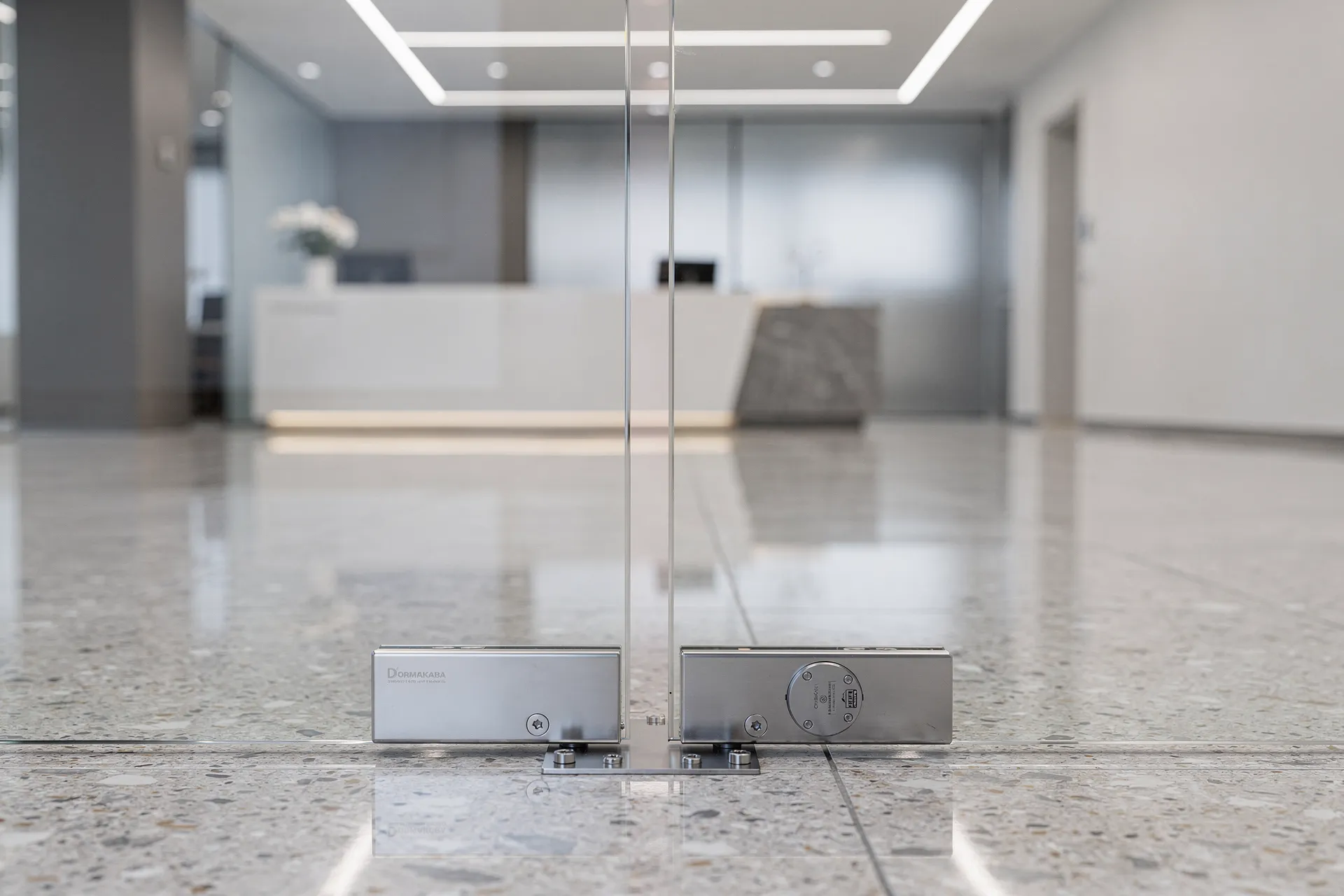 Маятниковые стеклянные двери в коммерческом интерьере